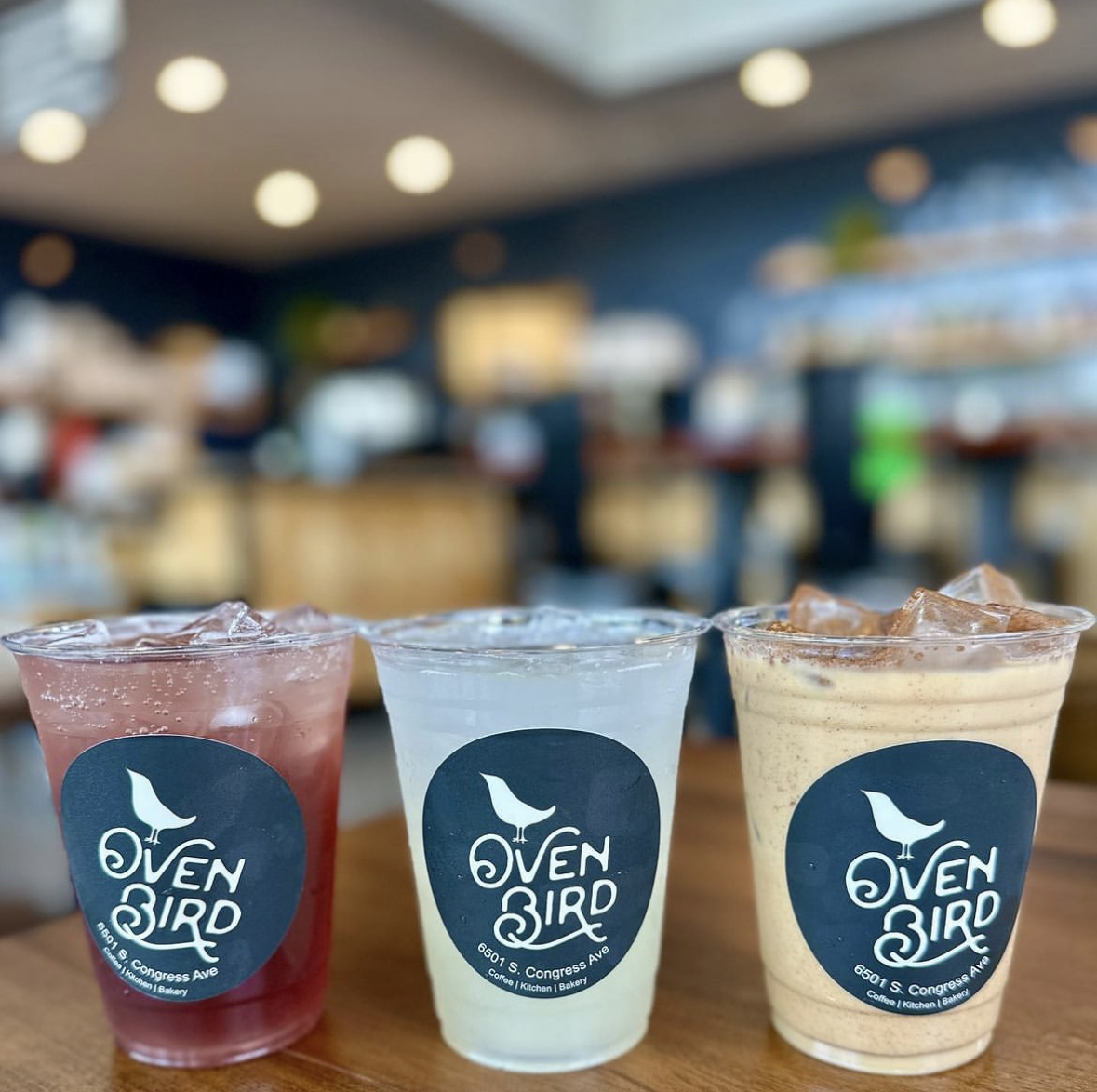 Ovenbird | Austin-4