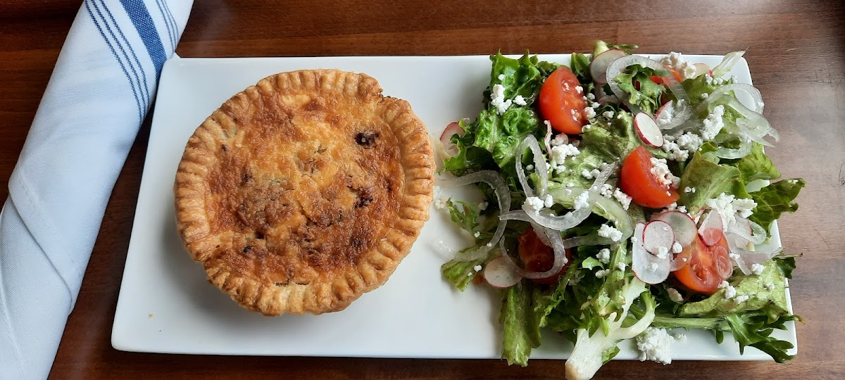 Ovenbird | Austin-7