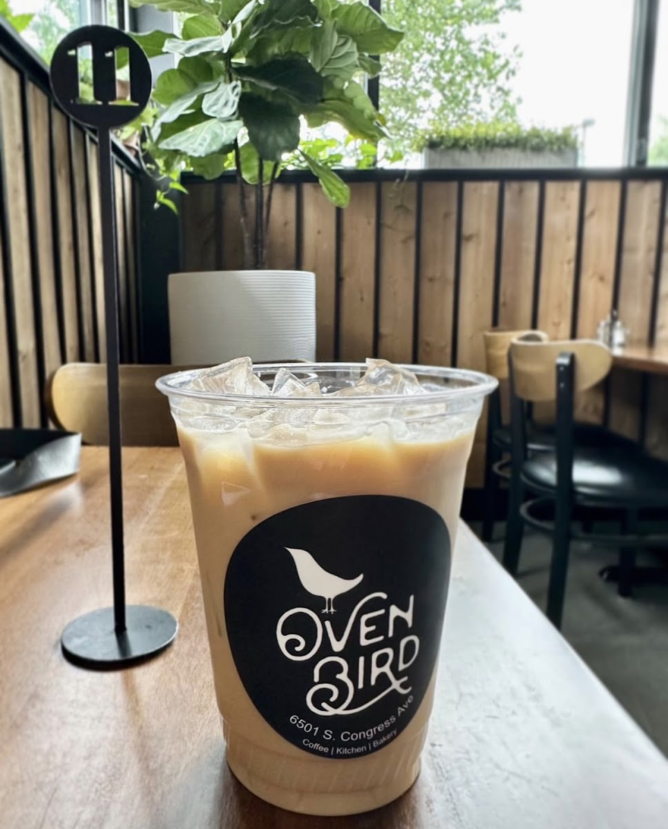 Ovenbird | Austin-8