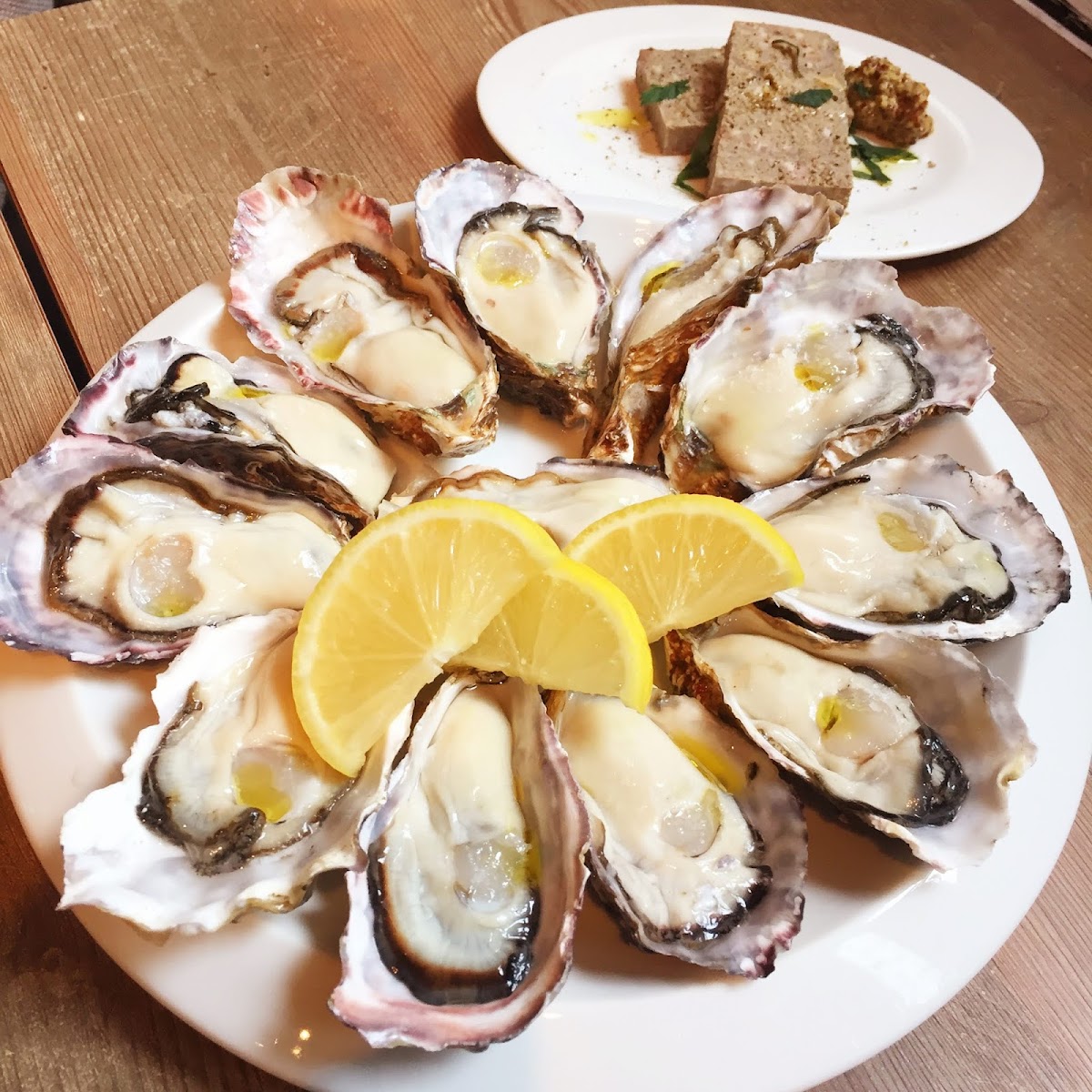 Oyster Bar Bono-3