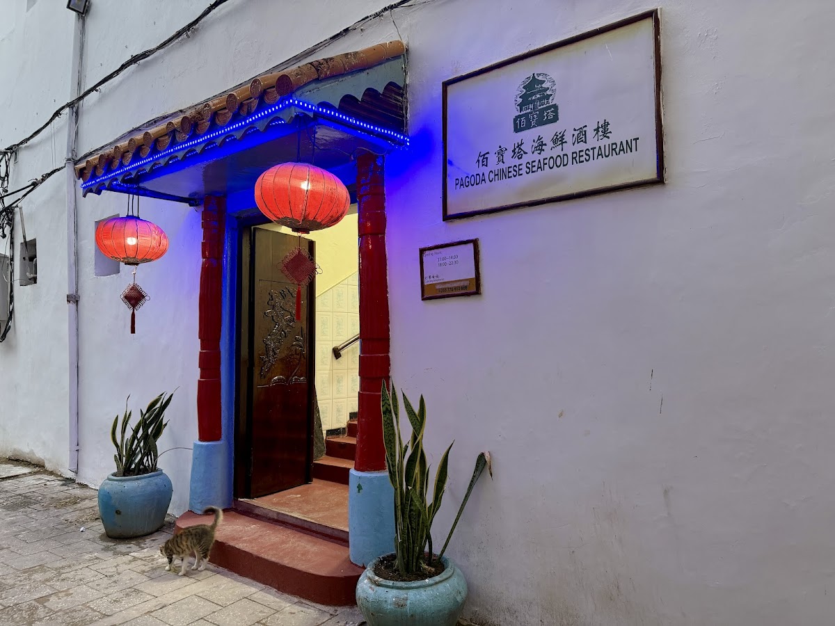 Pagoda Chinese Restaurant(佰宝塔中餐厅)-3