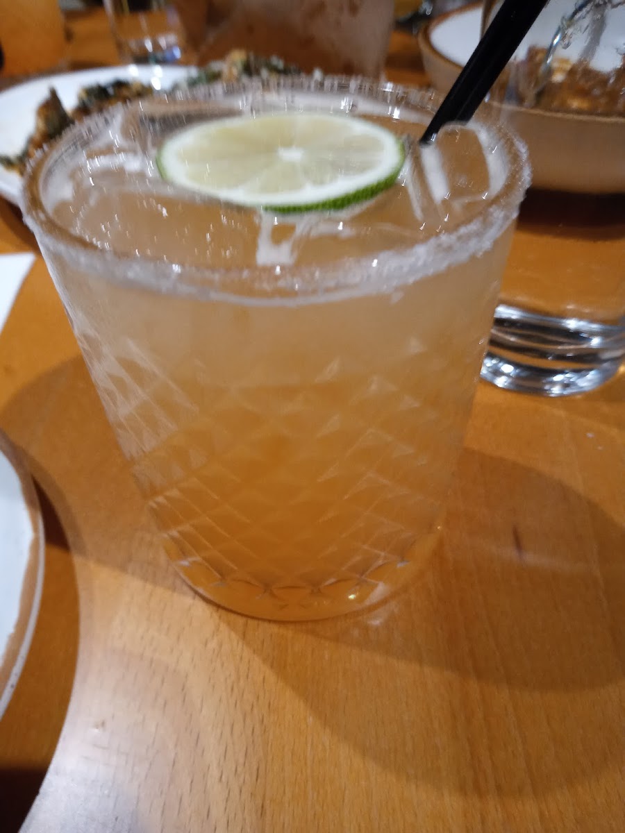 Paloma-5