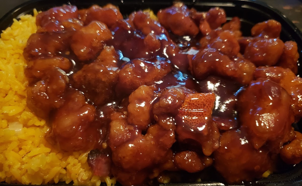 Panda West-6