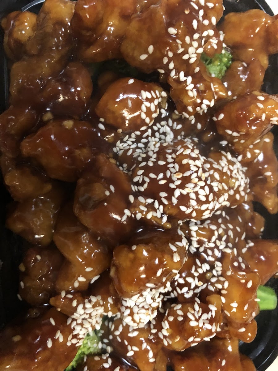 Panda West-8