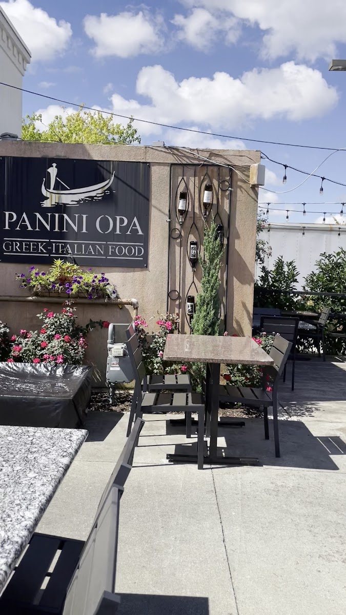 Panini Opa-2