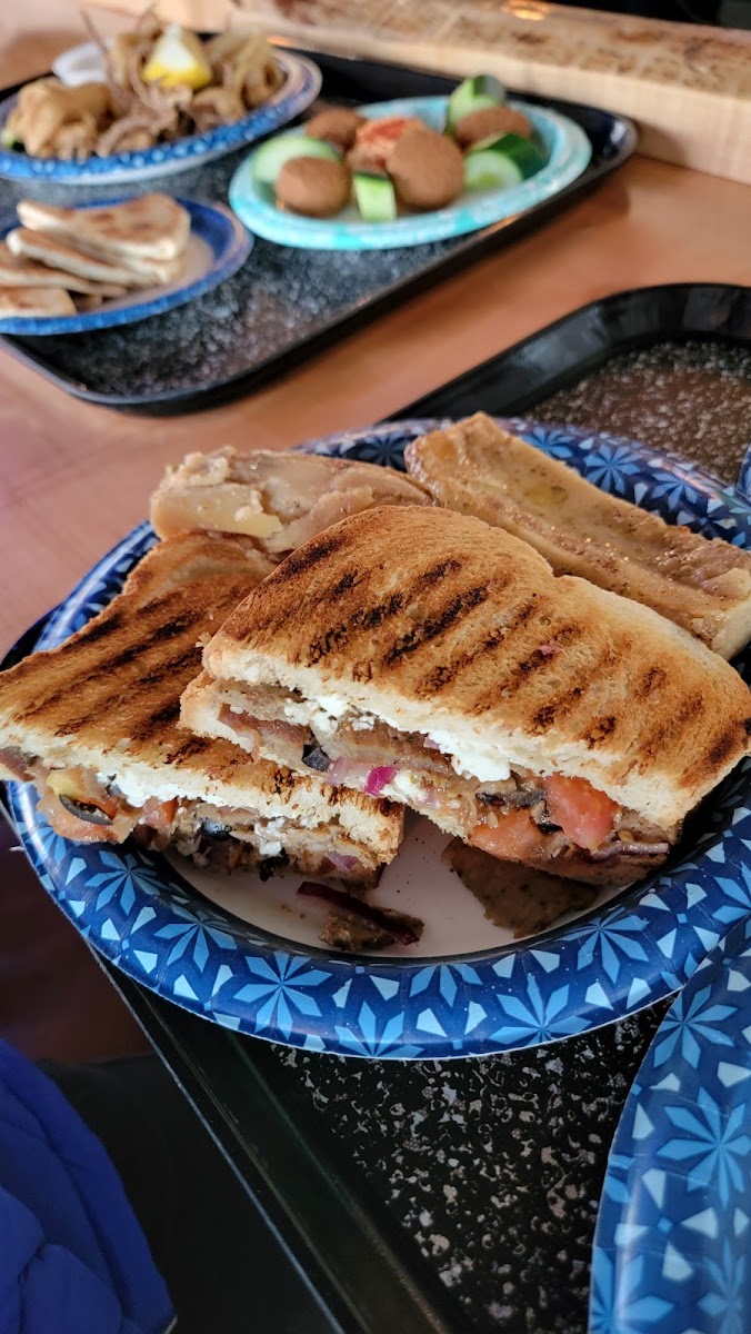 Panini Opa-9