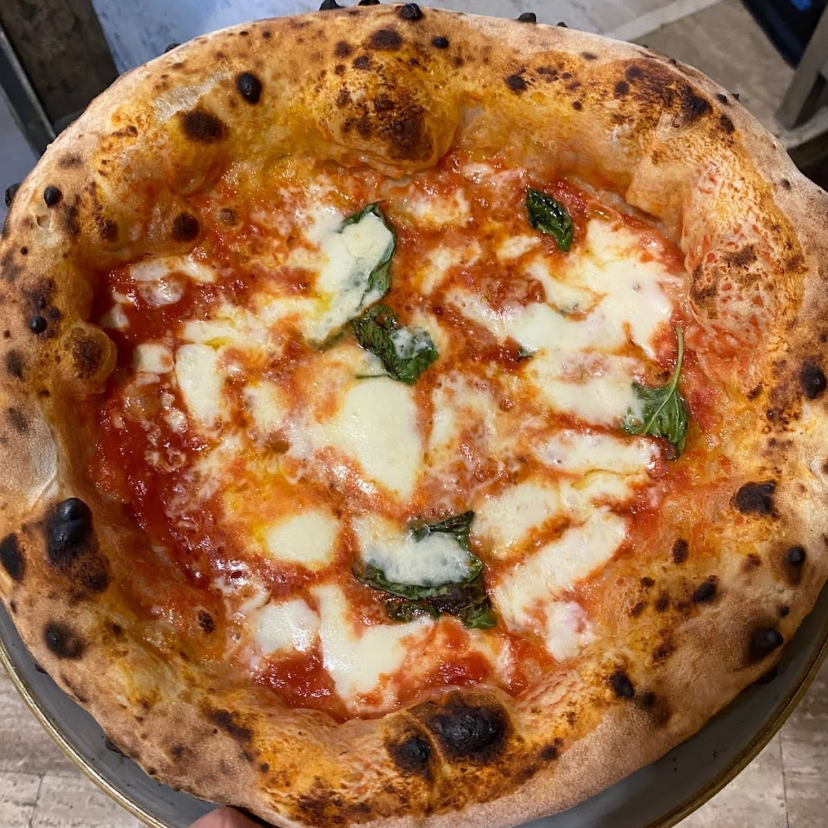 Panisfizio-4