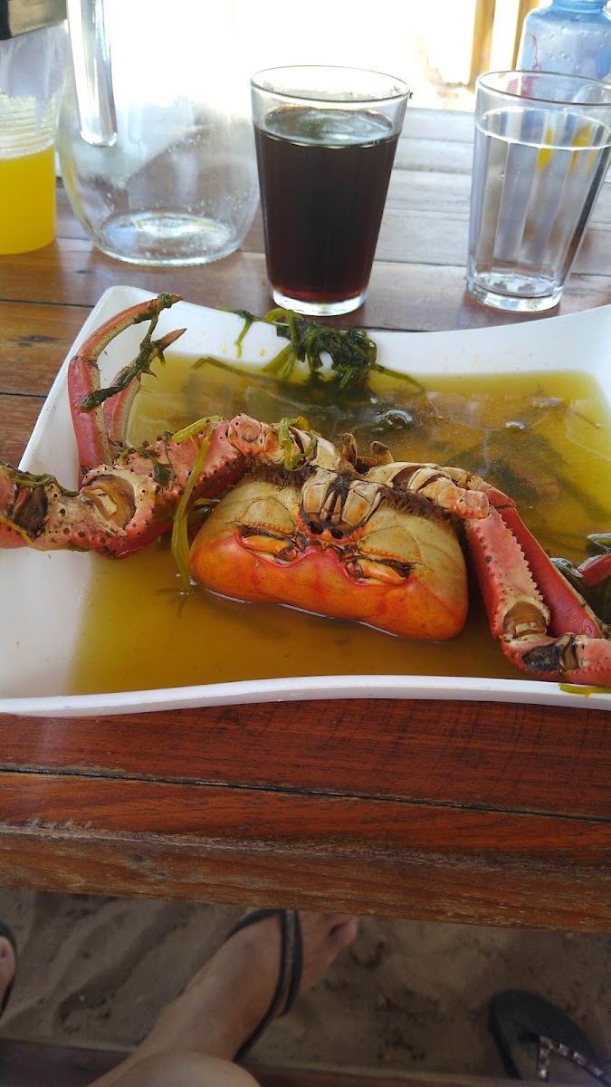 Paraiso Da Orla Bar E Restaurante-7