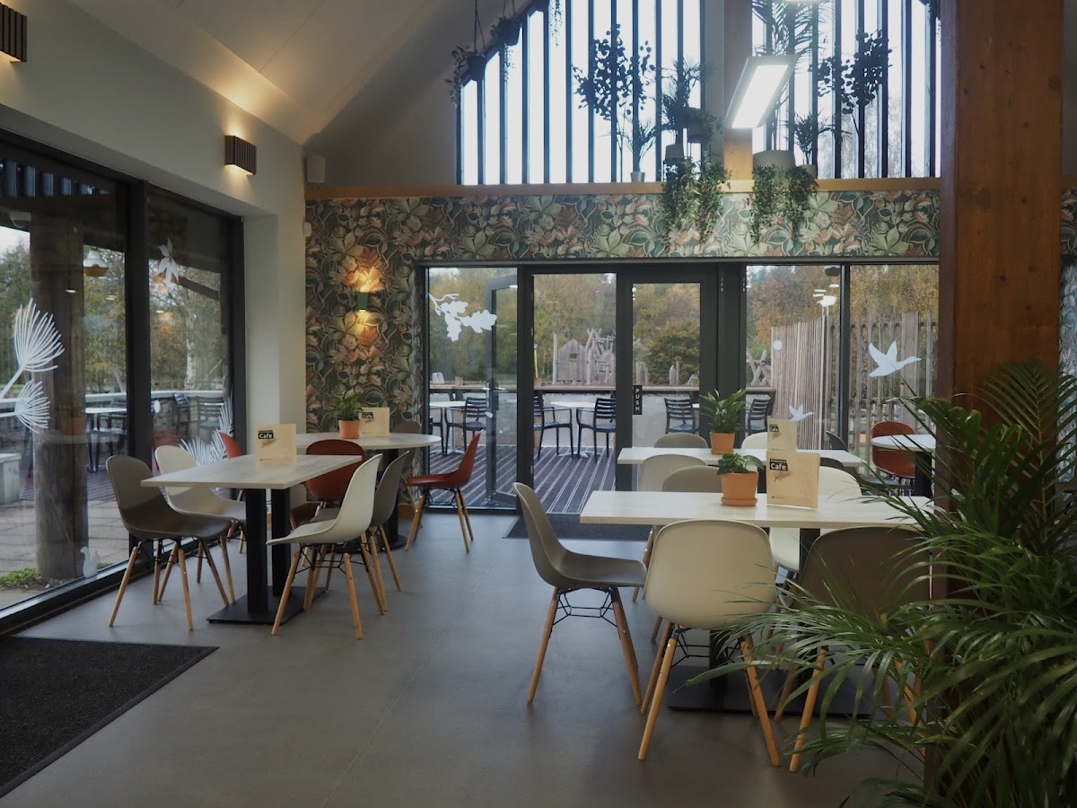 Park Life Café, Beechenhurst