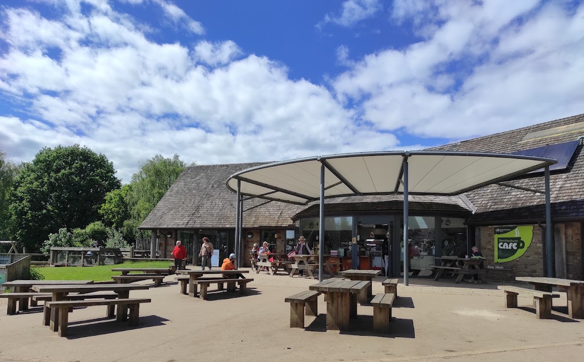 Park Life Café, Beechenhurst-3