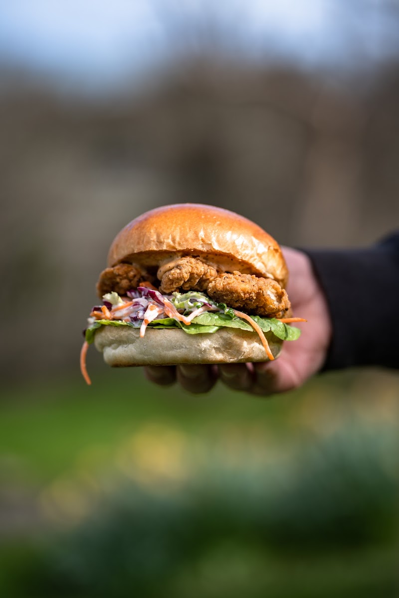 Park Life Café, Beechenhurst-9