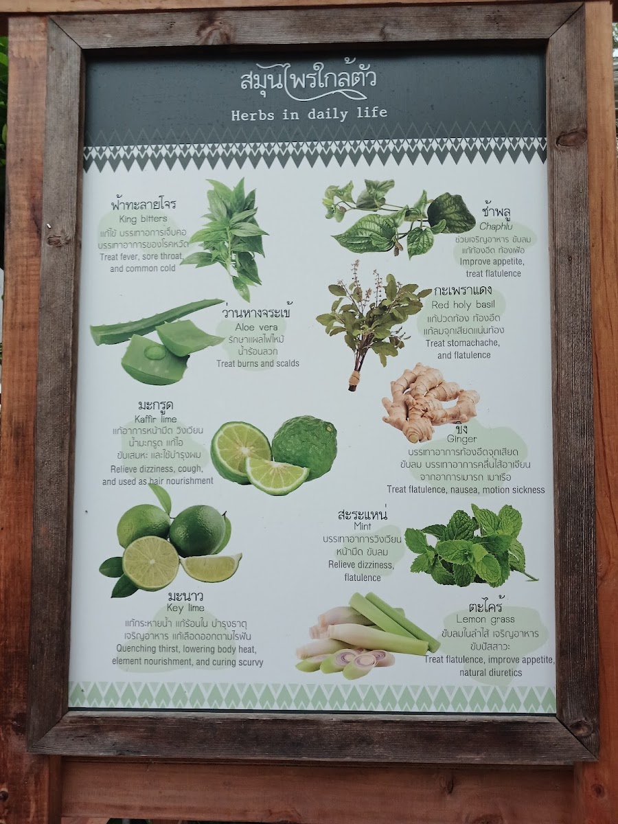 Menu Pascucci Cafe - Incheon Airport Branch-8