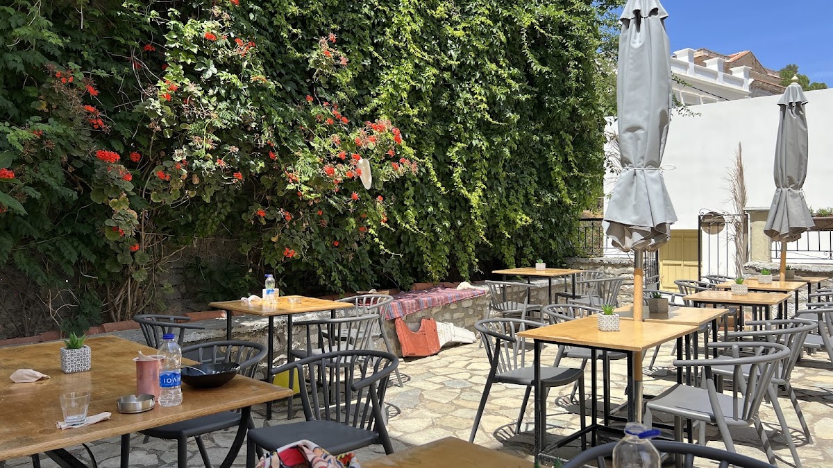 Pavone Cafe