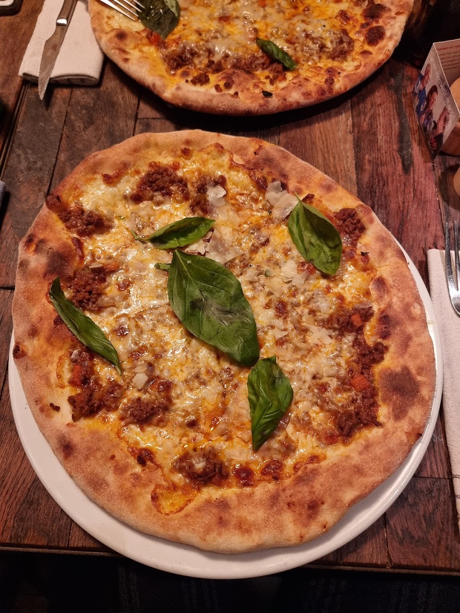 Pazzi Breda-10