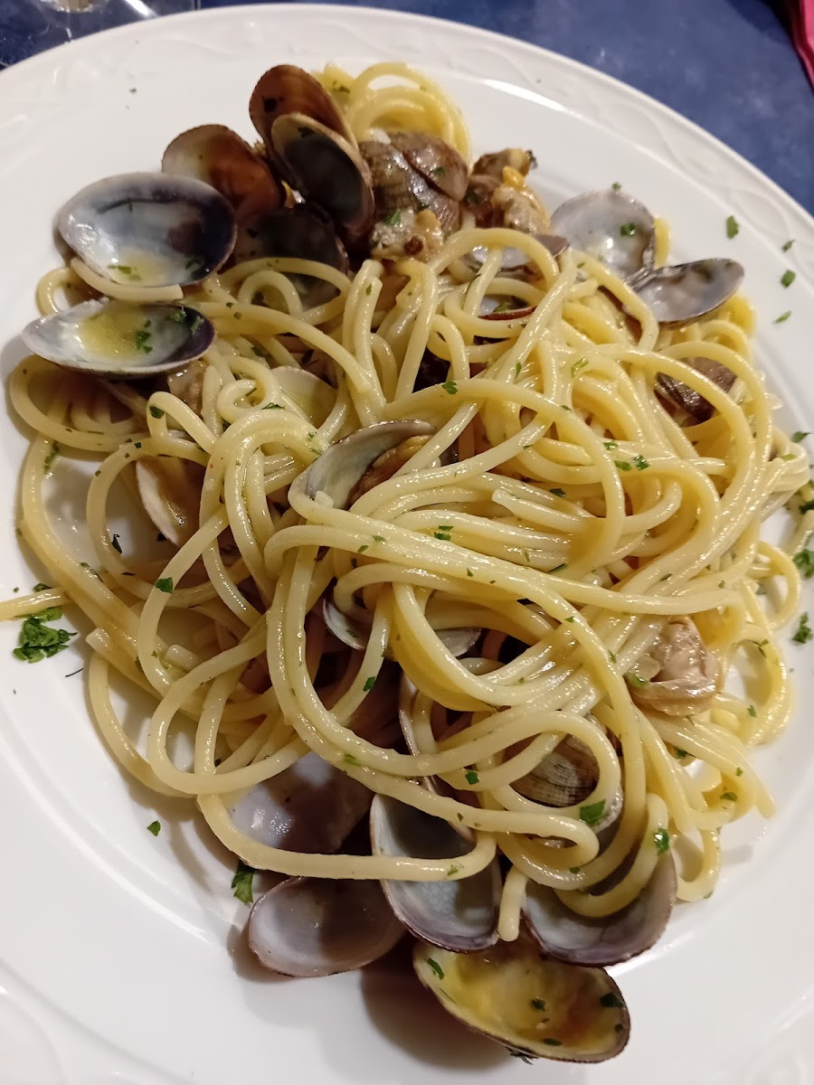 Pegaso-4
