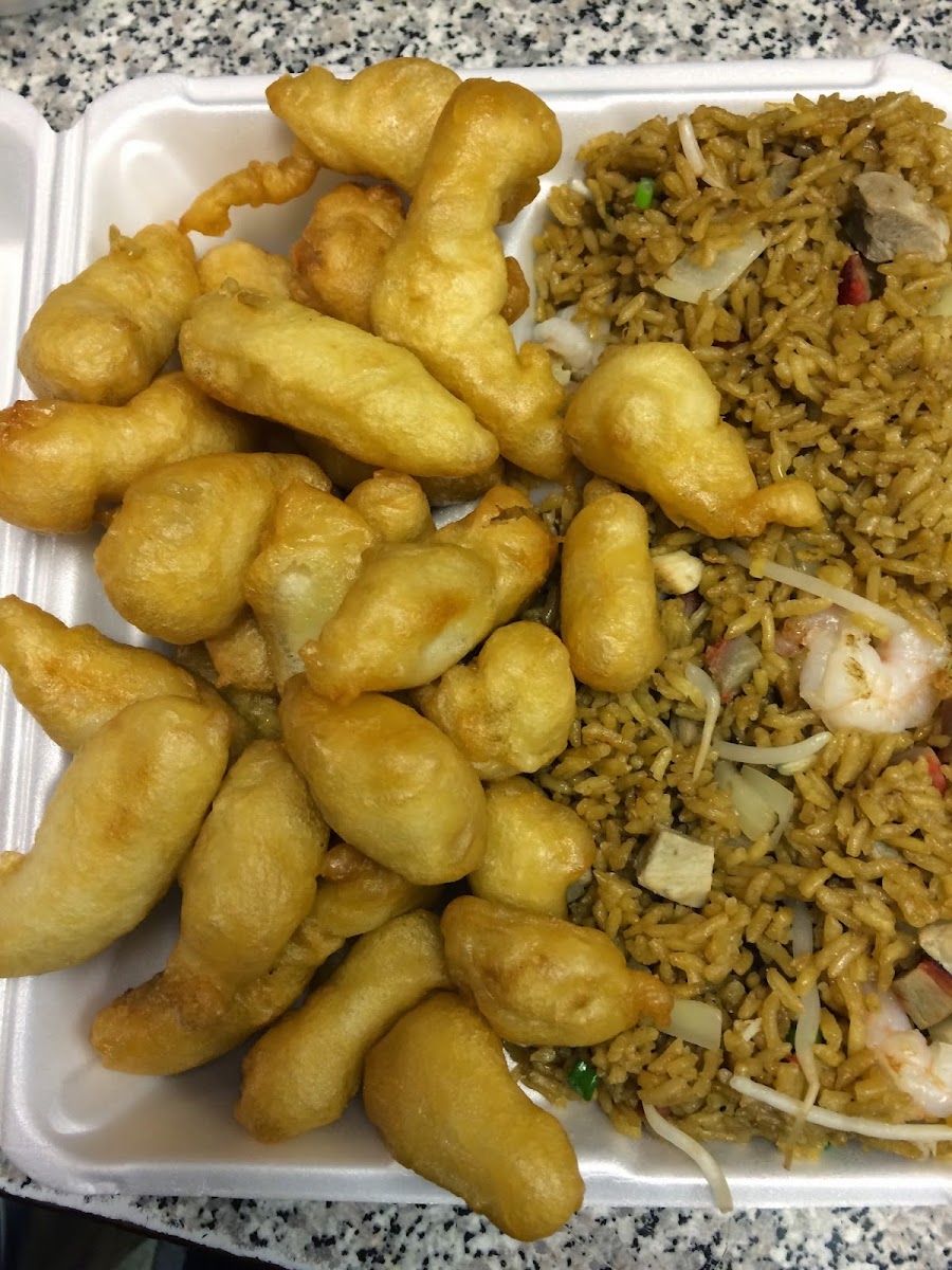 Peking Chinese Food-3