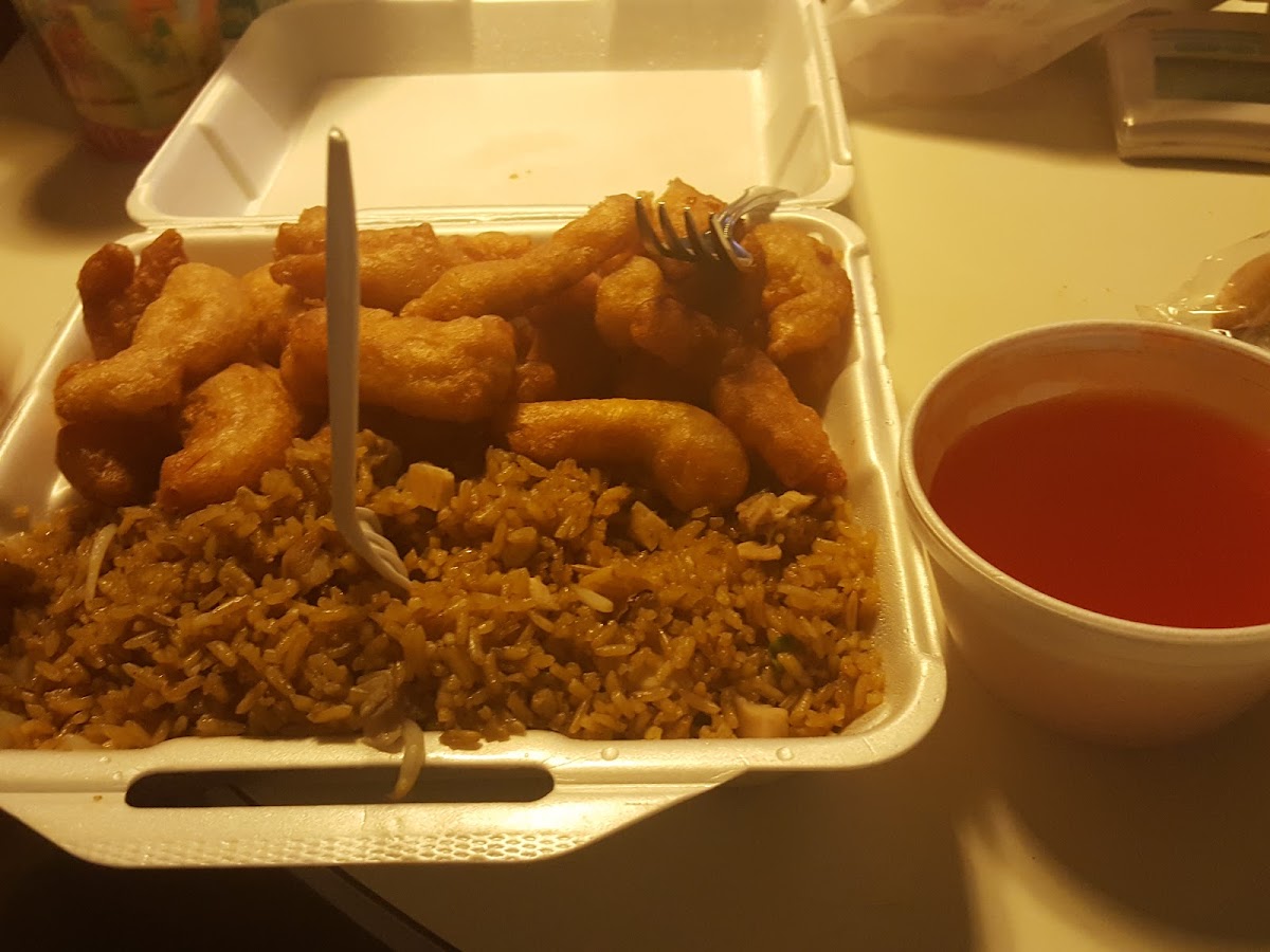 Peking Chinese Food-5