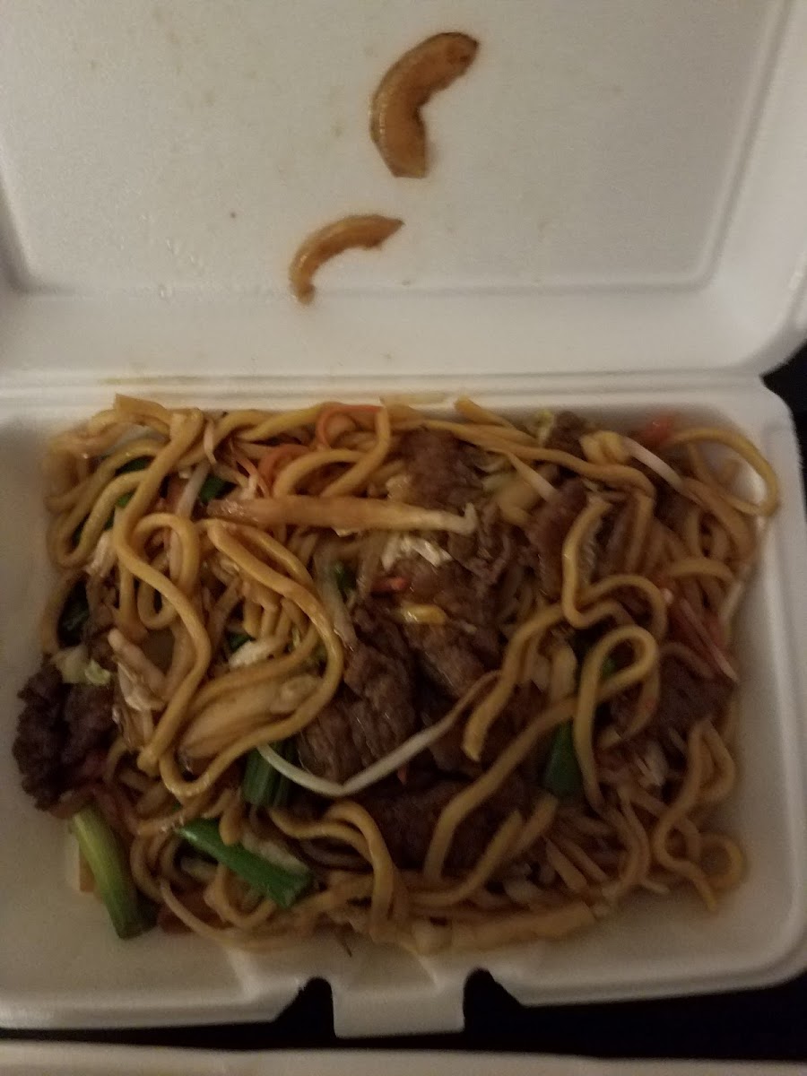 Peking Chinese Food-9