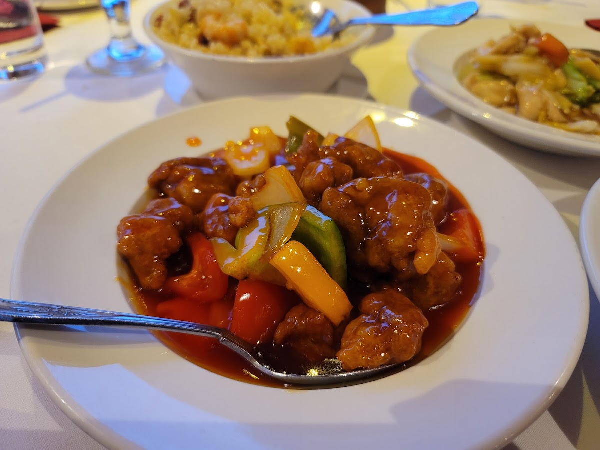Peking Garden Hazel Grove-5