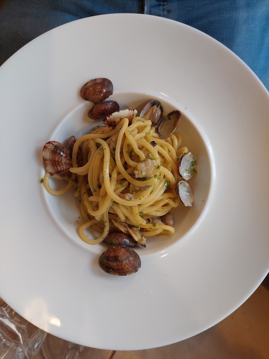 Pescheria San Gervasio-8