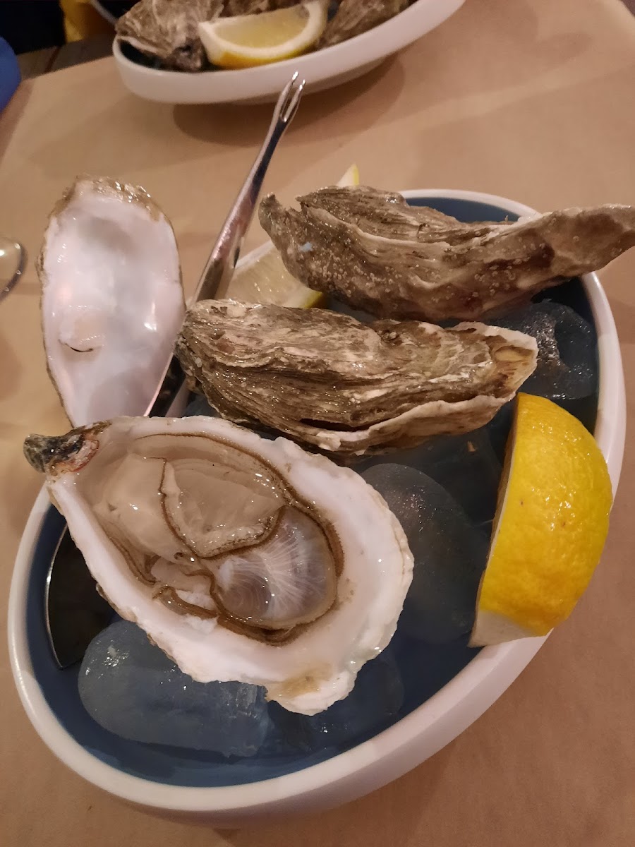 Pescheria San Gervasio-9