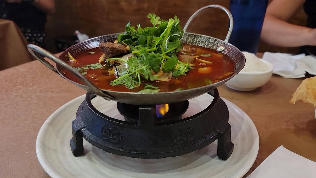 Peter Chang Cafe-2