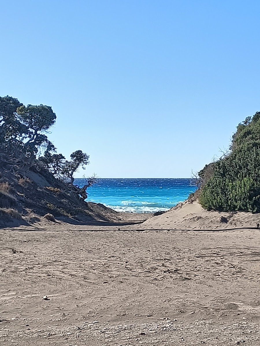 Petrokaravo-4