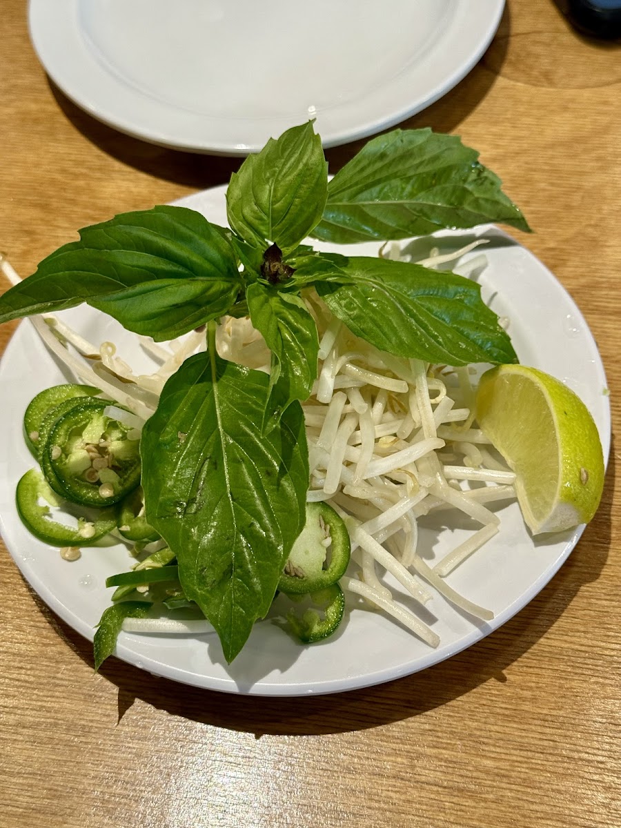 Pho Che Fort Lee-8