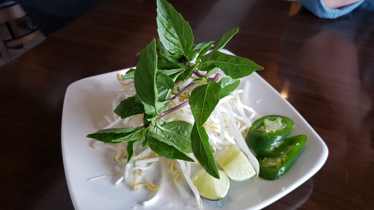 Pho Dai Viet Restaurant-6