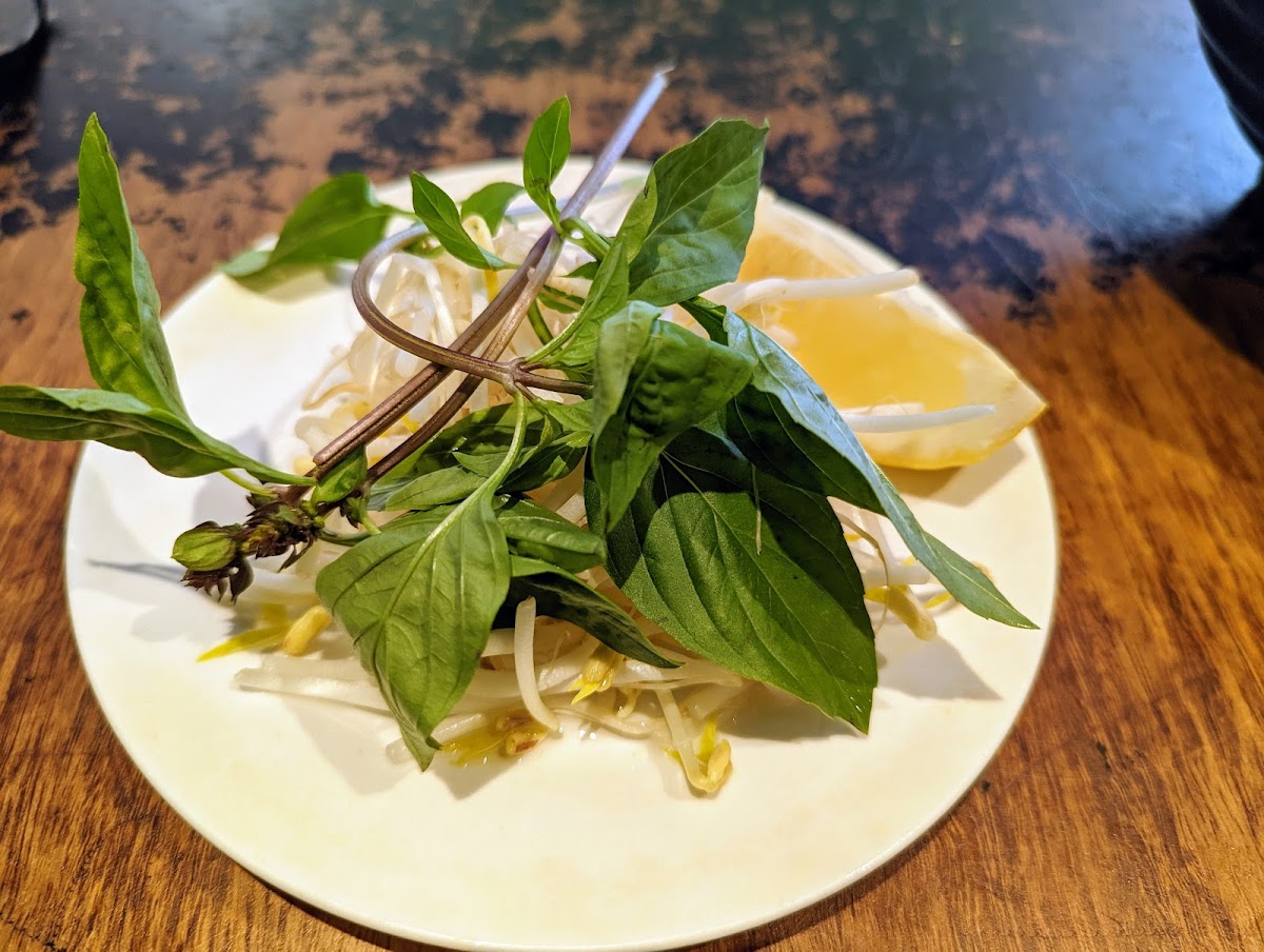 Pho Flinders Express-10