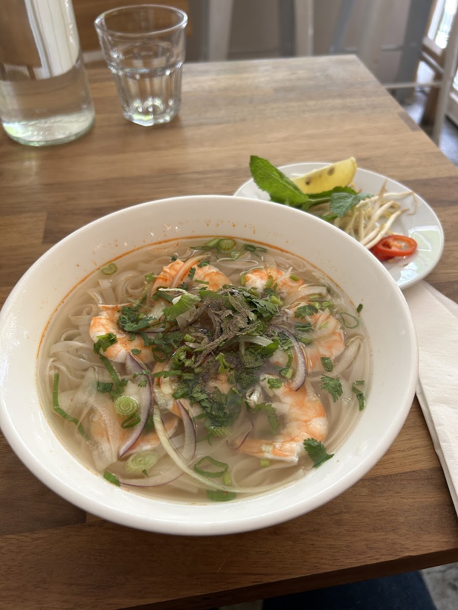 Pho Ga-4
