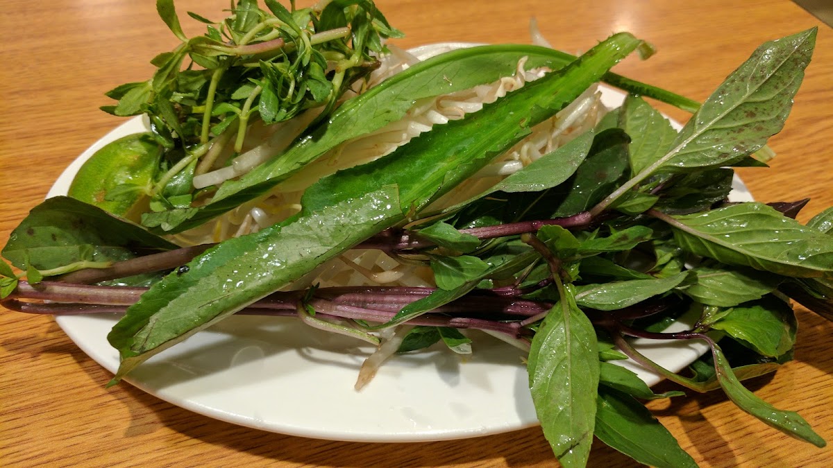 Pho Lovers 1-8
