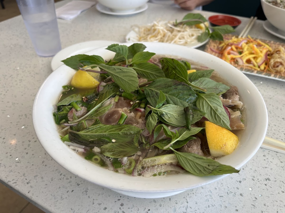 Phở Mango Thai & Vietnamese Cuisine-6