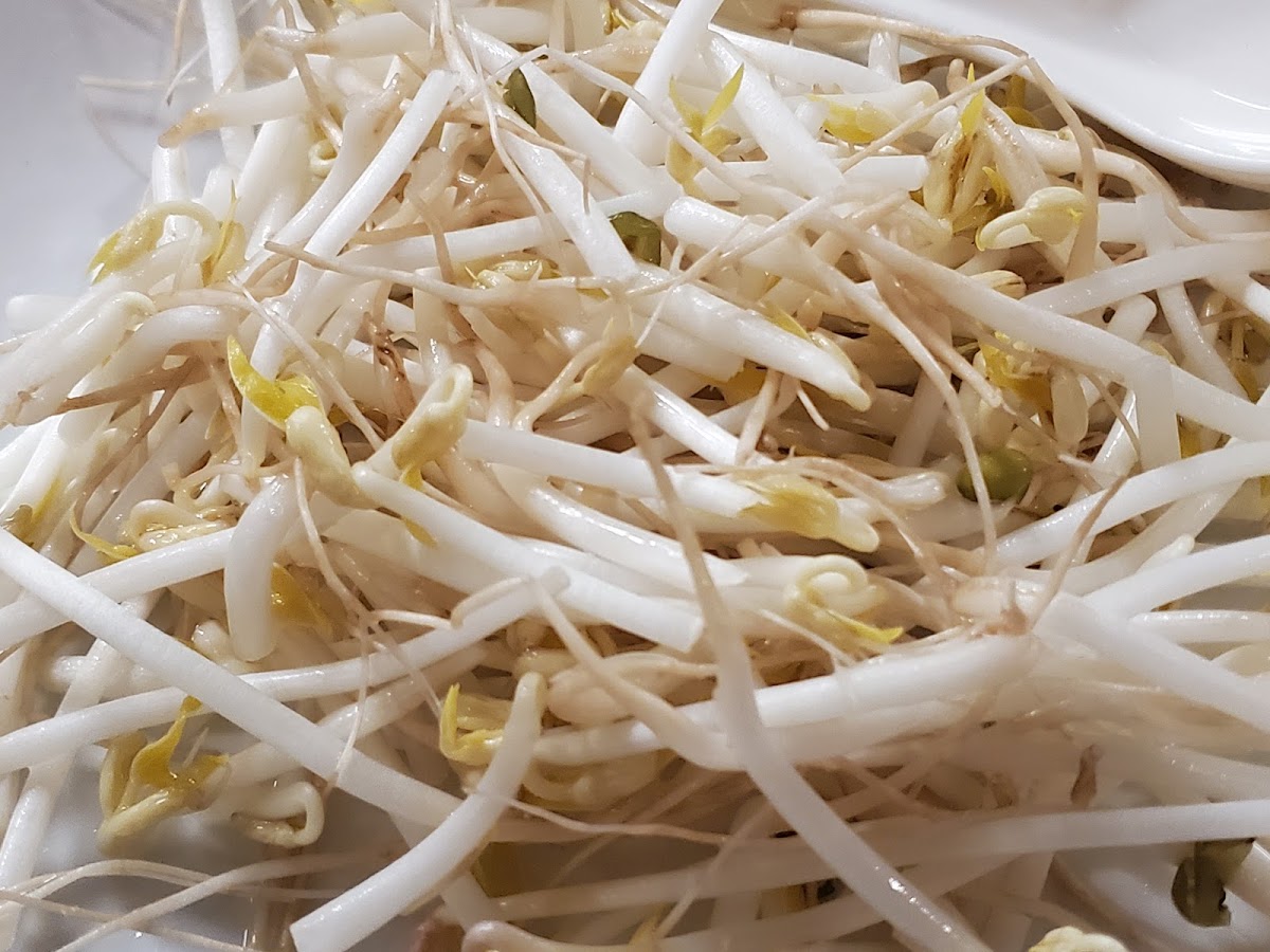 Pho Phuong Vietnamese Cuisine-7