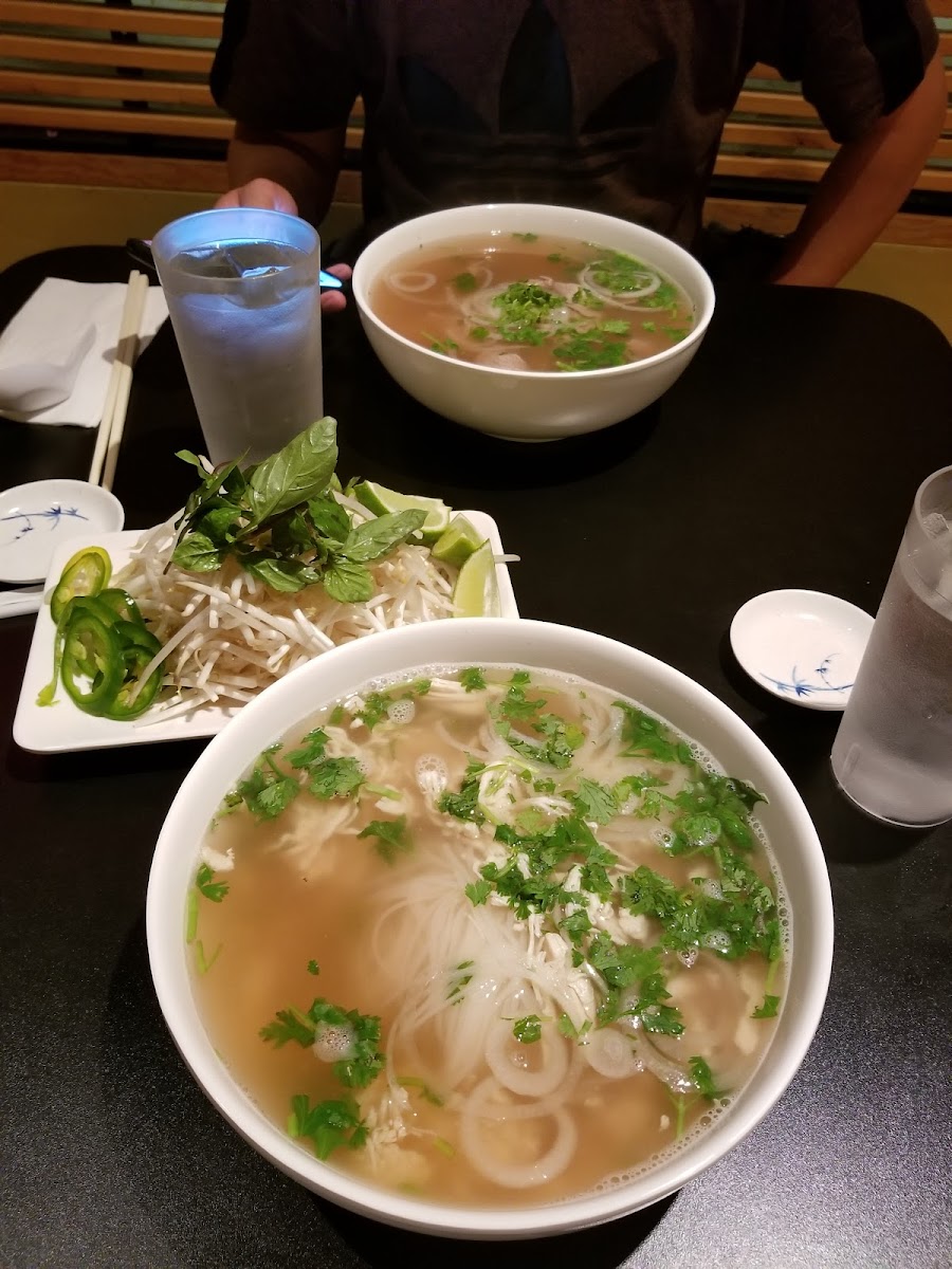Pho Plus-5