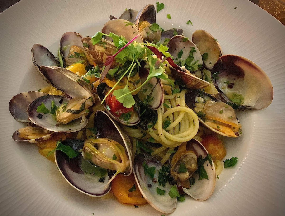 Piacere Trattoria Italiana-7