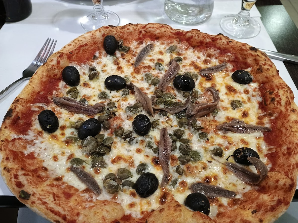 Piccolo Dino-4
