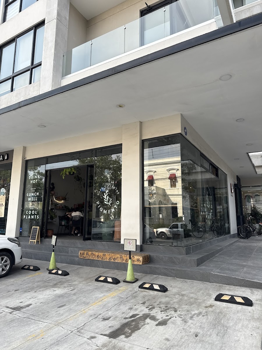 Pigmento Café