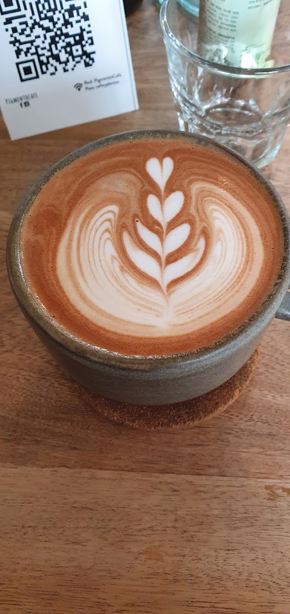 Pigmento Café-7
