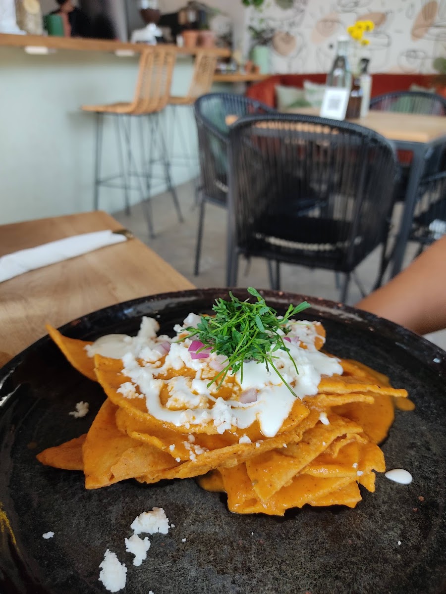 Pigmento Café-9