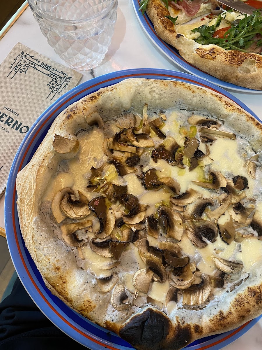Piperno Brest-5