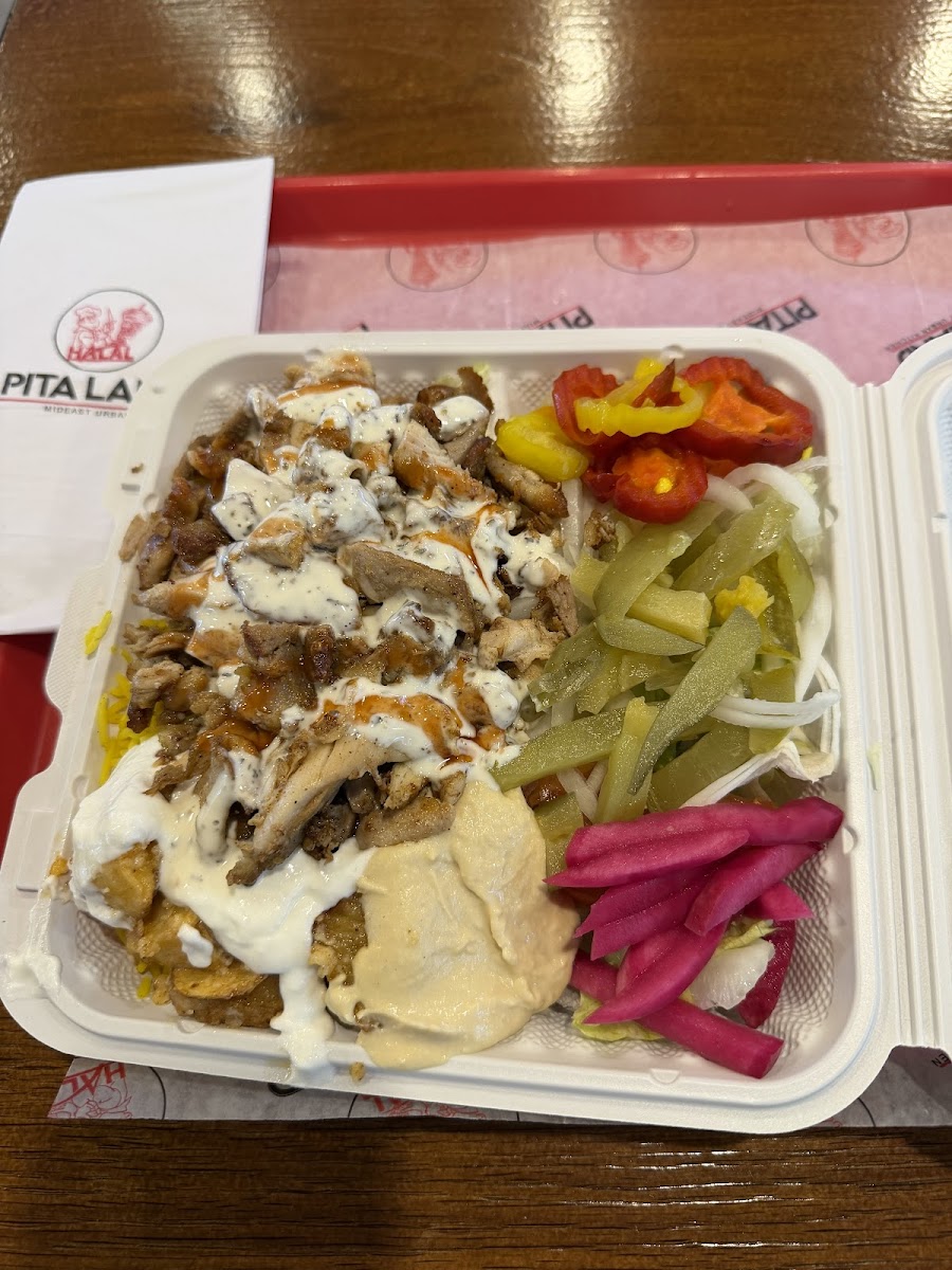 Pita Land Shawarma - Burnhamthorpe-4