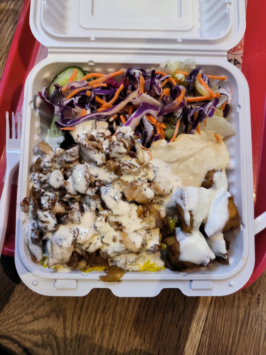 Pita Land Shawarma - Burnhamthorpe-6