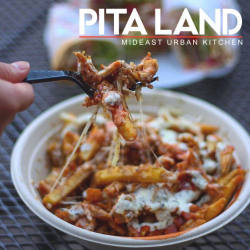 Pita Land Shawarma - Rexdale-2