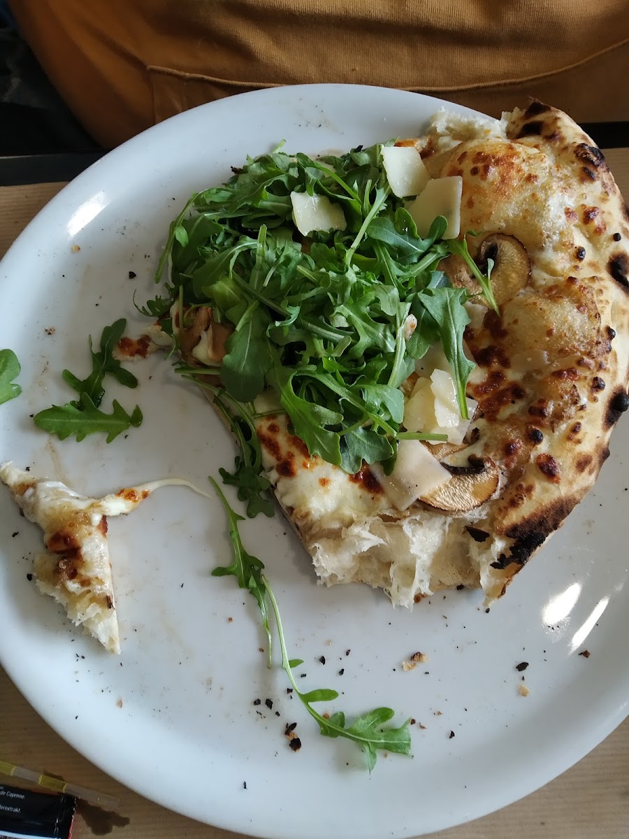 Pizza Folie's 25420-7