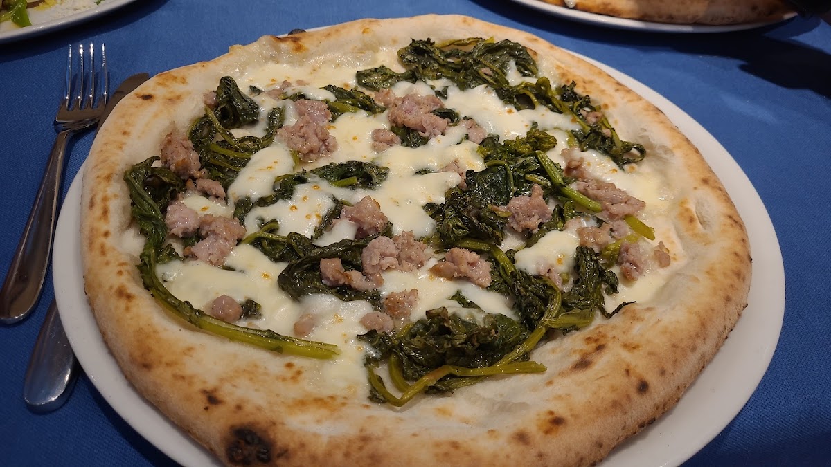 Pizza Gallery-10