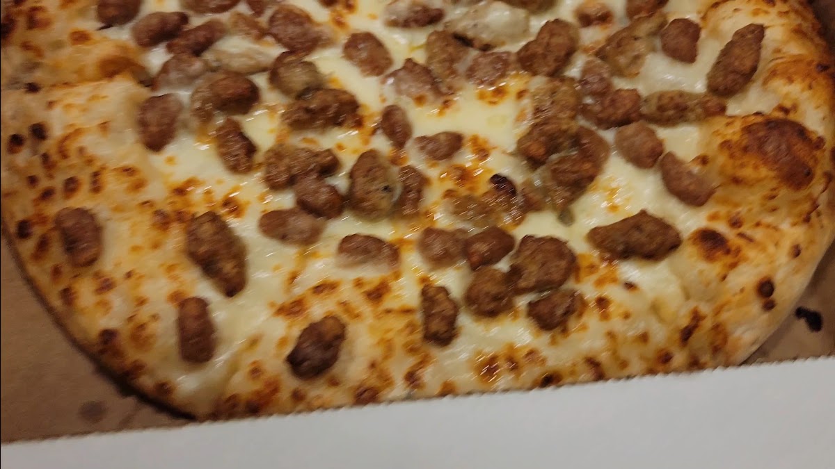 Pizza Shuttle-2