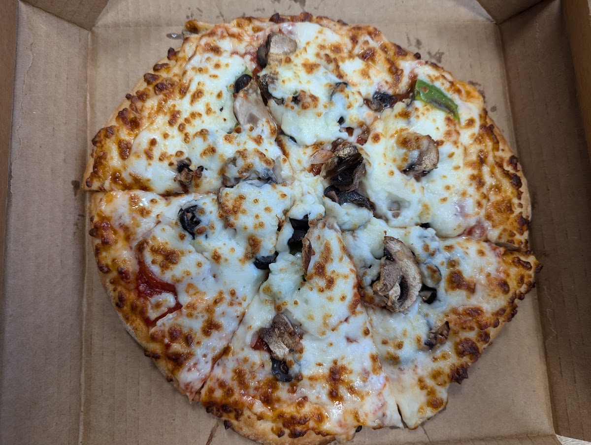 Pizza Shuttle-5