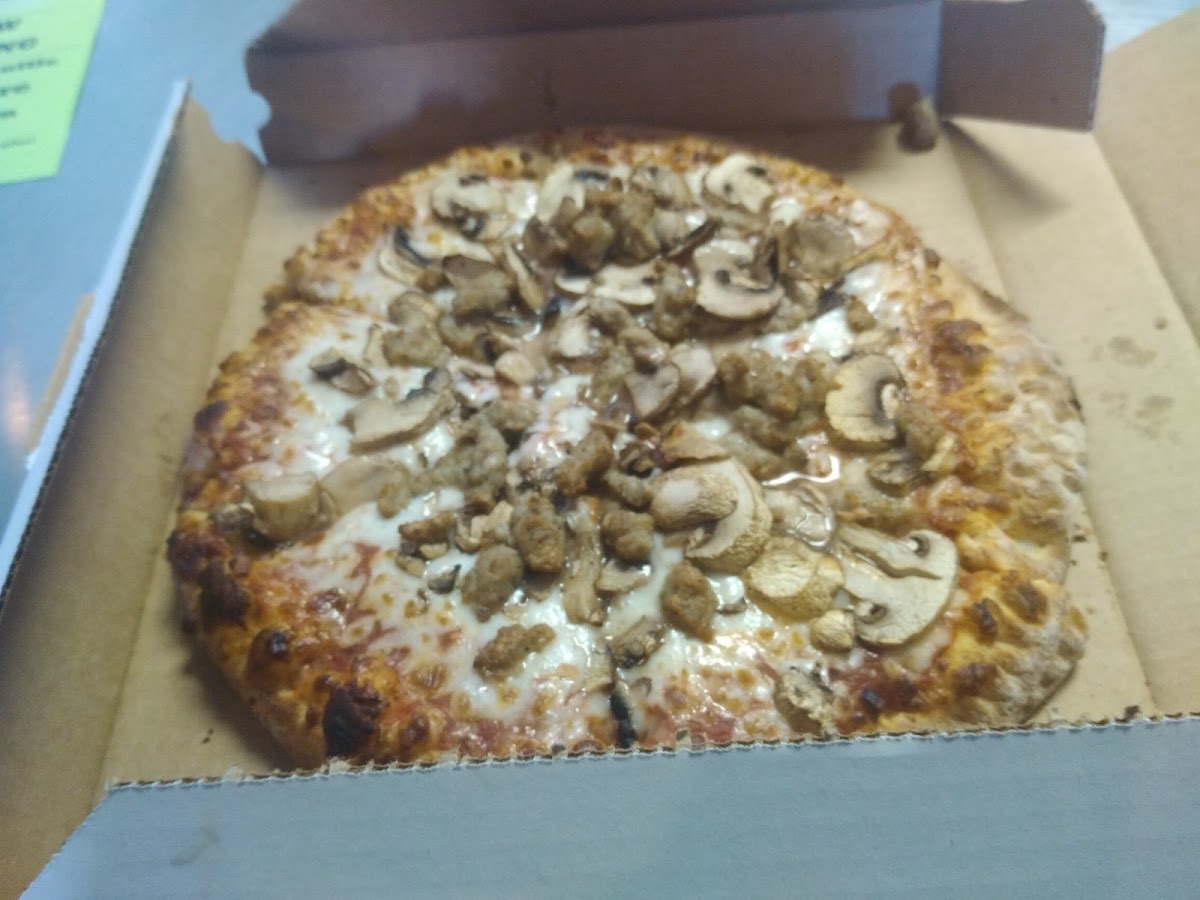 Pizza Shuttle-8