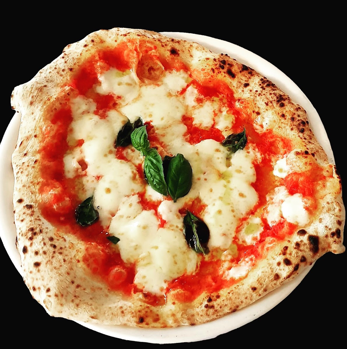 Pizzamani-9